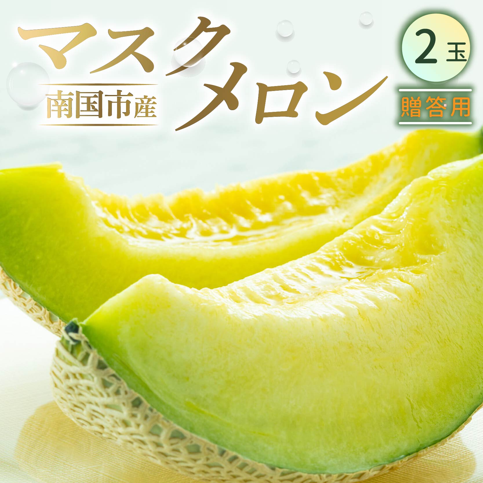 【ふるさと納税】 高知県南国市産／贈答用マスクメロン（2個） | メロン マスクメロン フルーツ 果物 くだもの 食品 デザート 高評価 厳選 高級 ギフト 贈り物 人気 おすすめ 送料無料