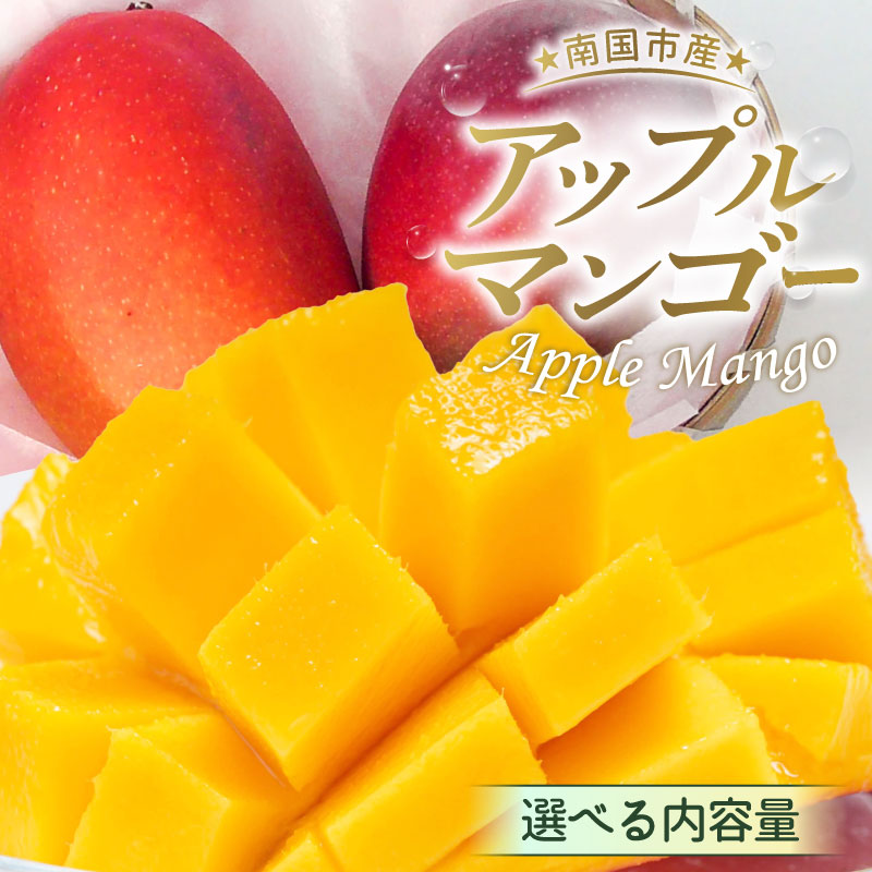 【ふるさと納税】 先行予約 高知県南国市産 完熟アップルマンゴー 選べる 2026年6月-発送 マンゴー アップルマンゴー フルーツ 旬 果物 くだもの デザート 高評価 厳選 ギフト 贈り物 贈答 ギフト 人気 おすすめ ふるさと納税まんごー ふるさと納税 マンゴー 高知県 南国市 9,240円