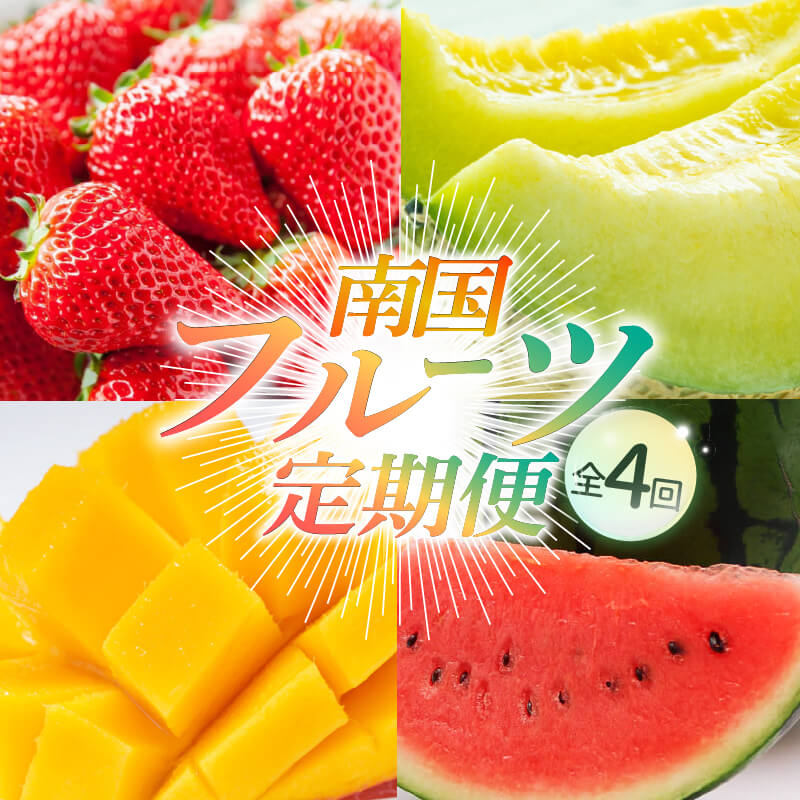 【ふるさと納税】 【年4回お届け】季節のフルーツセット | フルーツ 定期便 いちご スイカ マンゴー メロン フルーツ 苺 旬 果物 くだもの 贈答 ギフト 人気 おすすめ 高知県 南国市