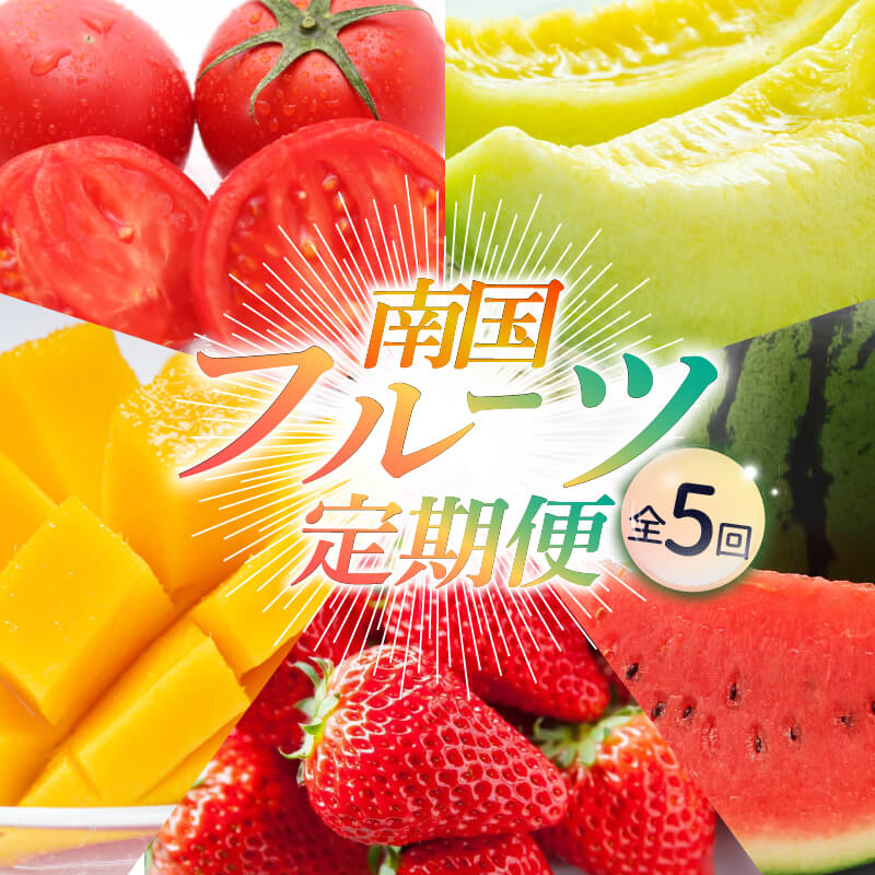 【ふるさと納税】 【年5回お届け】季節のフルーツセット | フルーツ 定期便 いちご フルーツトマト スイカ マンゴー メロン フルーツ 苺 旬 果物 くだもの 贈答 ギフト 人気 おすすめ 高知県 南国市