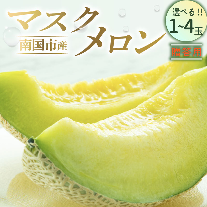 【ふるさと納税】 メロン 贈答用 マスクメロン 1個 2個 3個 4個 メロン 1玉 2玉 3玉 4玉 ギフト フルーツ 果物 くだもの 食品 デザート 高評価 厳選 高級 贈り物 人気 おすすめ 産地直送 ふるさと納税メロン ふるさと納税 めろん 西島園芸団地 高知県 南国市