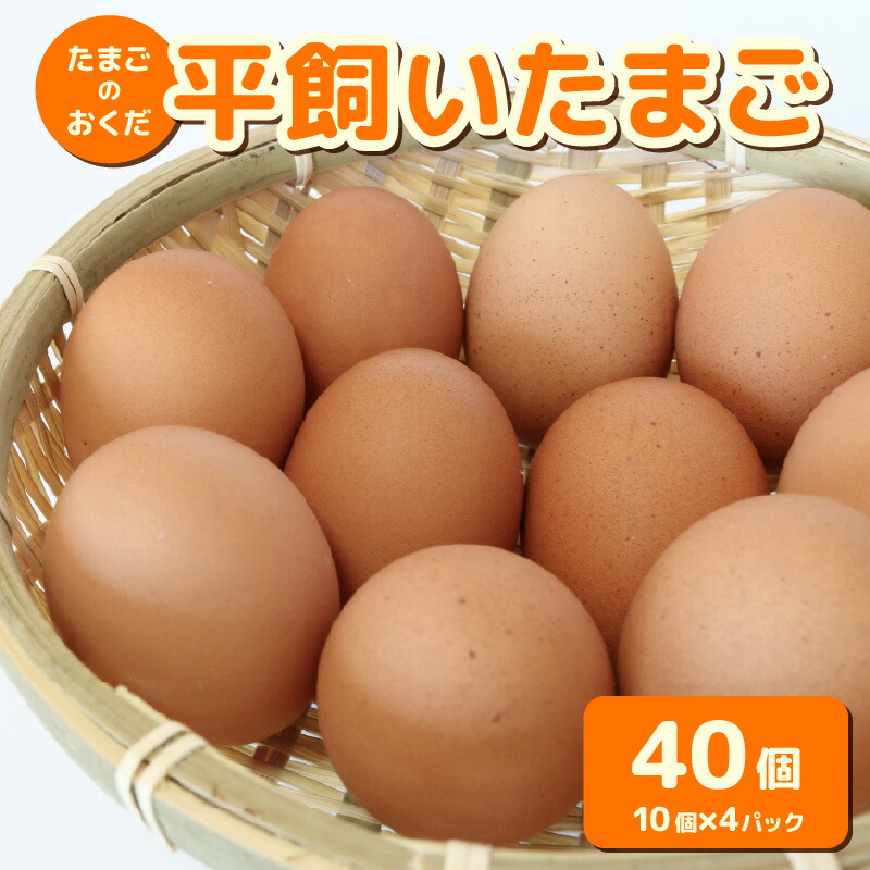 【ふるさと納税】 平飼い卵 40個入り たまごのおくだ 新鮮 平飼い 卵 たまご 鶏卵 卵黄 たまごかけ ご飯 玉子 タマゴ 玉子焼き たまご焼き すき焼き 鶏 ケーキ 産地直送 国産 高知県 南国市