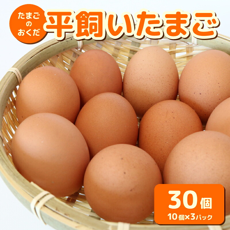 【ふるさと納税】 平飼い卵 30個入り たまごのおくだ 新鮮 平飼い 卵 たまご 鶏卵 卵黄 たまごかけ ご飯 玉子 タマゴ 玉子焼き たまご焼き すき焼き 鶏 ケーキ 産地直送 国産 高知県 南国市｜高知県南国市