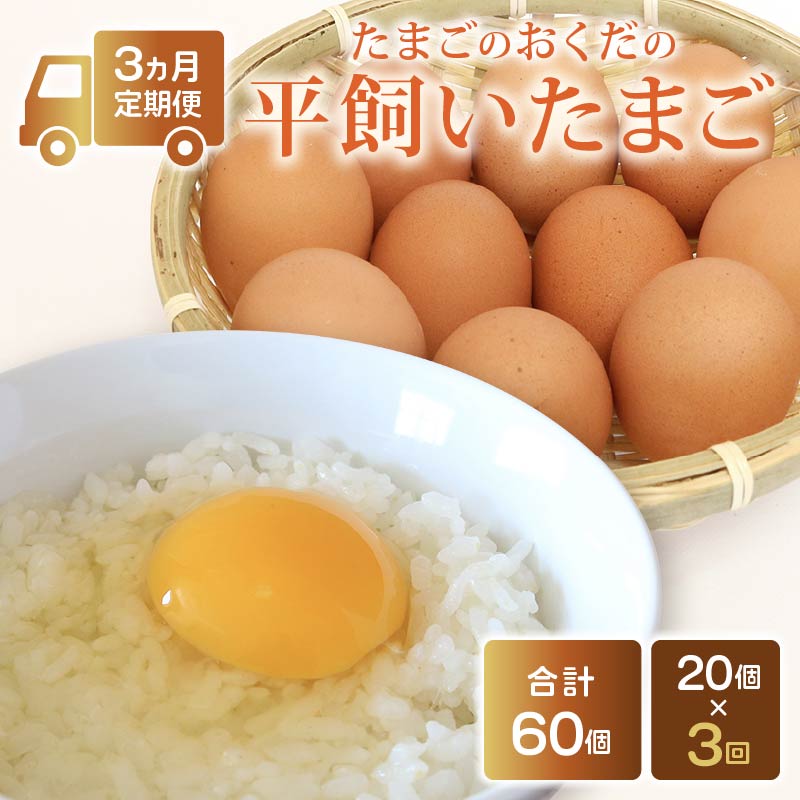 【ふるさと納税】 定期便3回 平飼い卵 20個入り たまごのおくだ 新鮮 平飼い 卵 たまご 鶏卵 卵黄 たまごかけ ご飯 玉子 タマゴ 玉子焼き たまご焼き すき焼き 鶏 ケーキ 国産 高知県 南国市