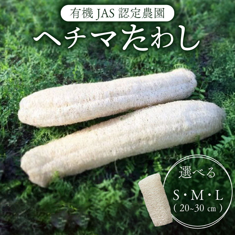 【ふるさと納税】 スポンジ ヘチマ たわし 選べる Sサイズ Mサイズ Lサイズ 20cm 25cm 30cm 日用品 ヘチマ へちま たわし バス用品 ボディスポンジ 掃除 掃除用スポンジ 食器洗い用 有機JAS認定 高知県 南国市