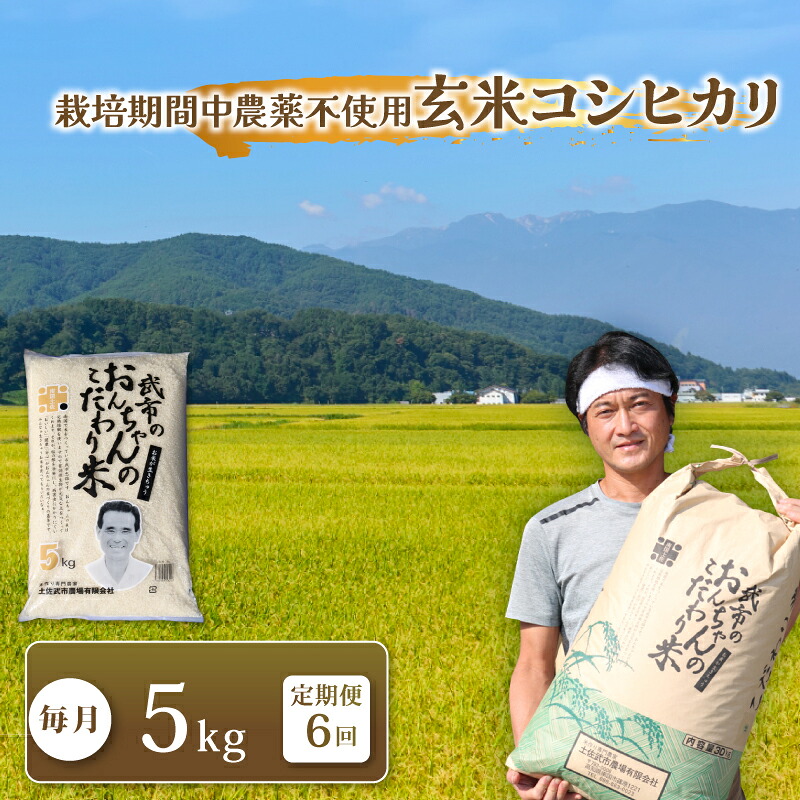 【ふるさと納税】 特別栽培米 栽培期間中農薬不使用 玄米 コシヒカリ 6回定期便 米 コメ お米 5kg 5キロ 令和7年度 数量限定 ご飯 おにぎり こめ 産地直送 農家直送 毎月 高知県 南国市｜高知県南国市