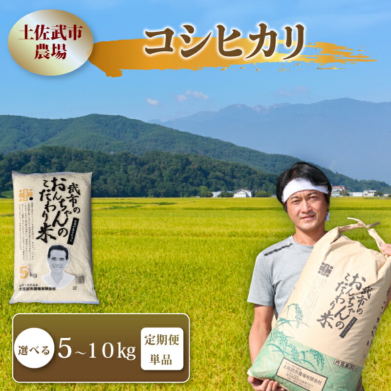 【先行予約】 【ふるさと納税】 コシヒカリ 白米 5キロ 5kg 10kg 数量限定 米 コメ お米 精米 ご飯 おにぎり こめ ライス 令和8年度 農家直送 産地直送 ふるさと納税 3回定期便 6回定期便 12回定期便 定期便 選べる 高知県 南国市|高知県南国市