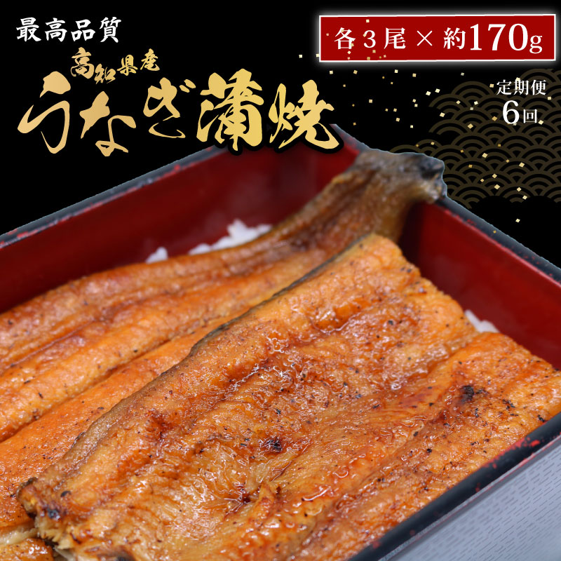 【ふるさと納税】 【6回定期便】 うなぎ 蒲焼 鰻 約170g×3尾 高知県産 最高品質 合計約510g タレ 山椒 国産 おすすめ 高知県 南国市