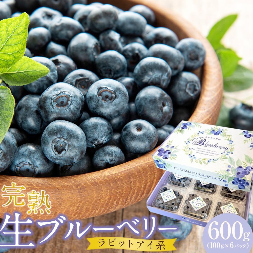 【ふるさと納税】【農家直送】完熟生ブルーベリー（ラビットアイ系）600g（100ｇ×6パック）2025年発送 土佐ひらやま農園 | ブルーベリー フルーツ 果物 くだもの 食品 人気 おすすめ 送料無料