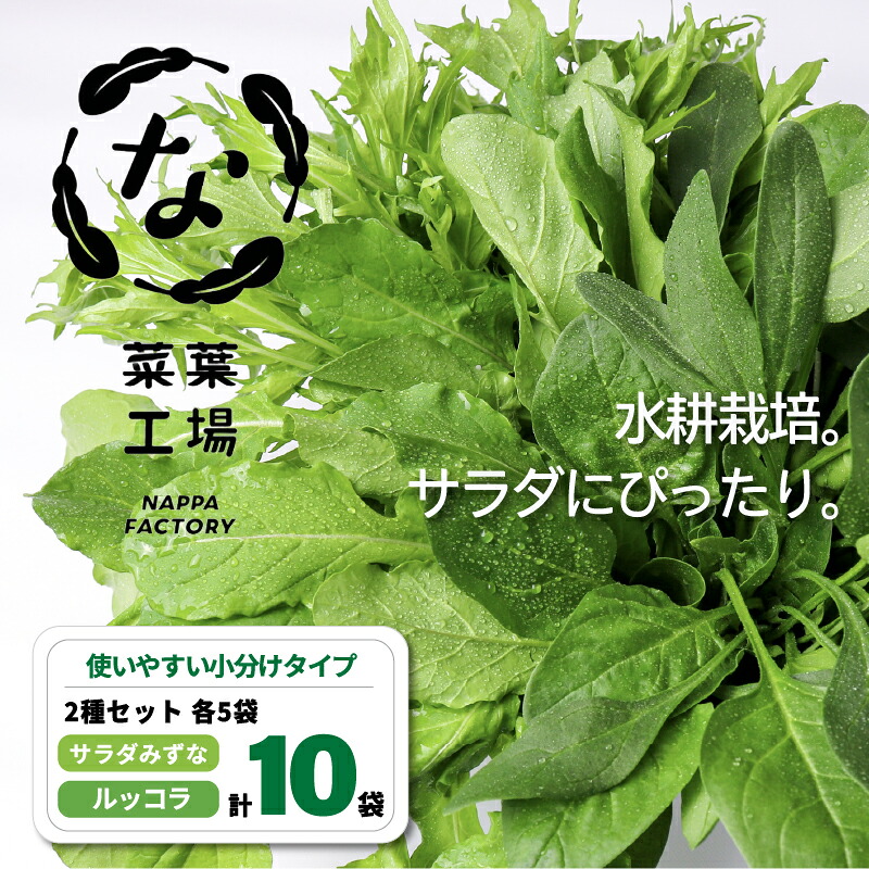 【ふるさと納税】 葉野菜 2種セット サラダ みずな ルッコラ | ほうれんそう ホウレンソウ 水菜 ミズナ 生食 野菜 セット 新鮮 健康 人気 おすすめ 高知県 南国市