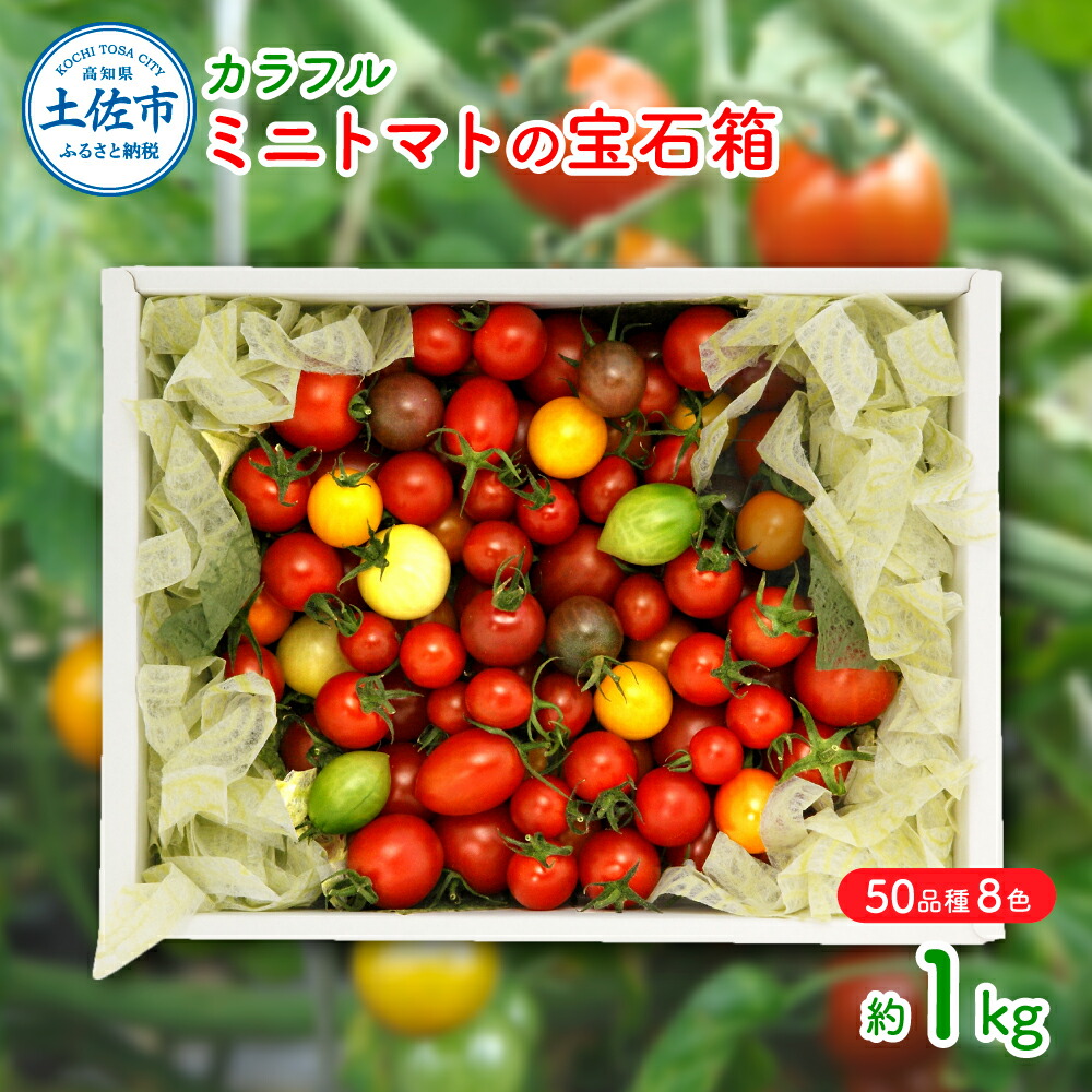 楽天市場】【ふるさと納税】 7色カラフルミニトマト4箱セット 野菜