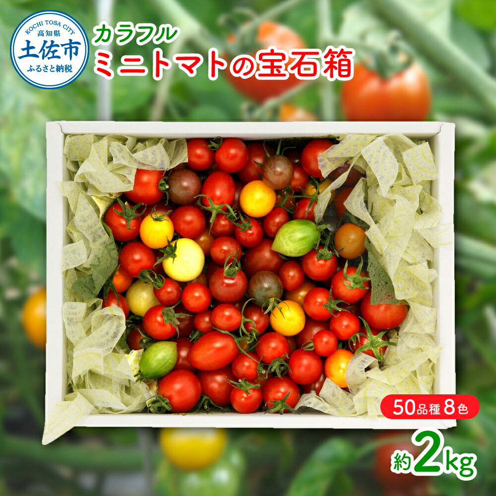 クリスタルトマト　3箱セット（箱/15000円！）　新品未開封品 楽天市場】【ふるさと納税】にんにく香るトマトソース3種セット(120g×3