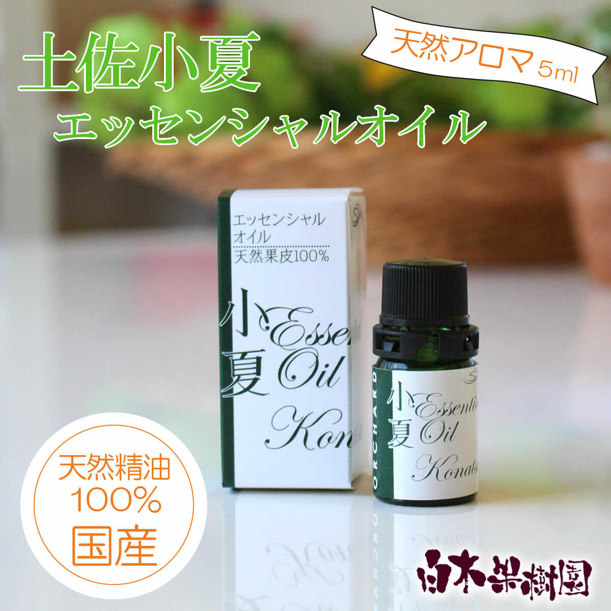 お中元特集