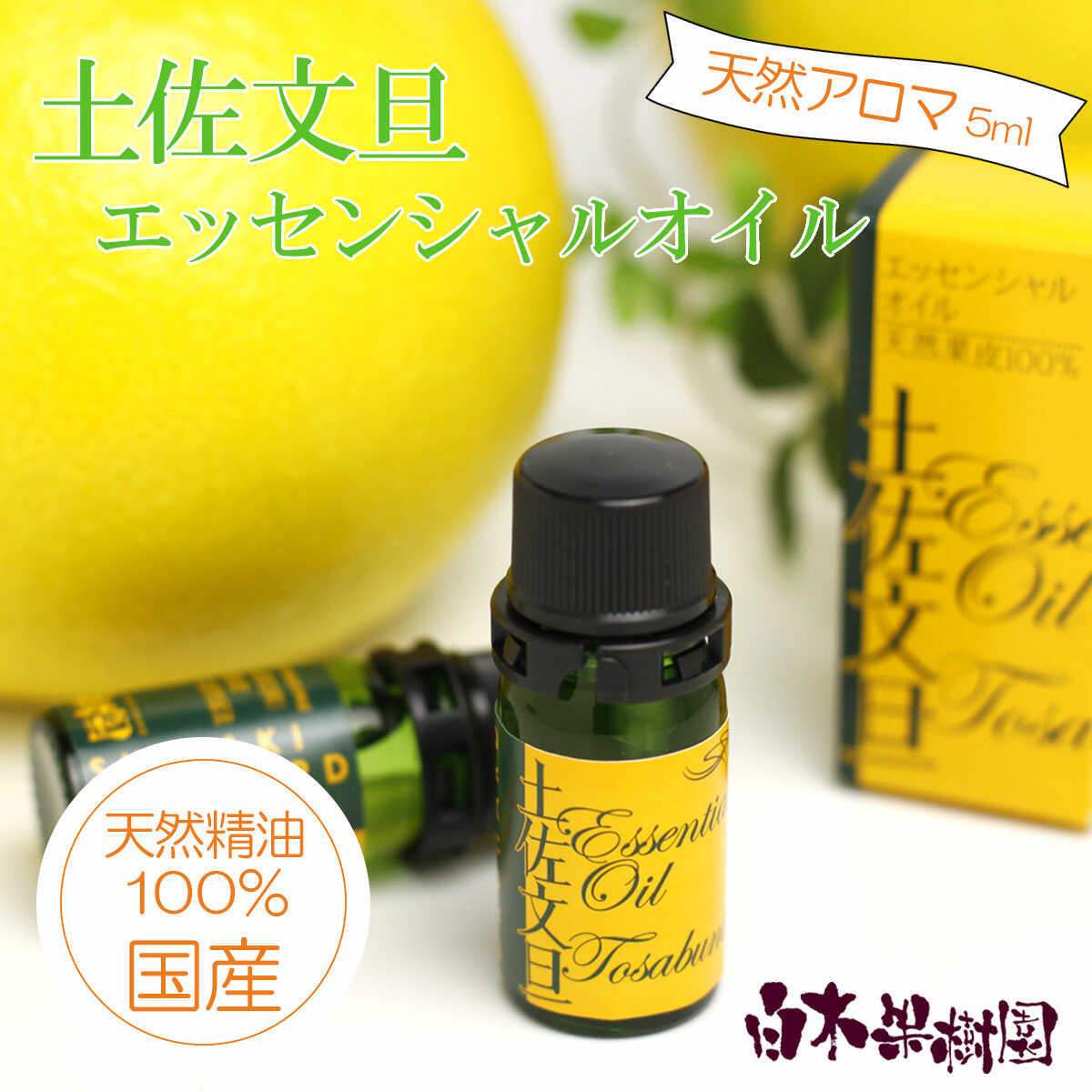 お中元特集