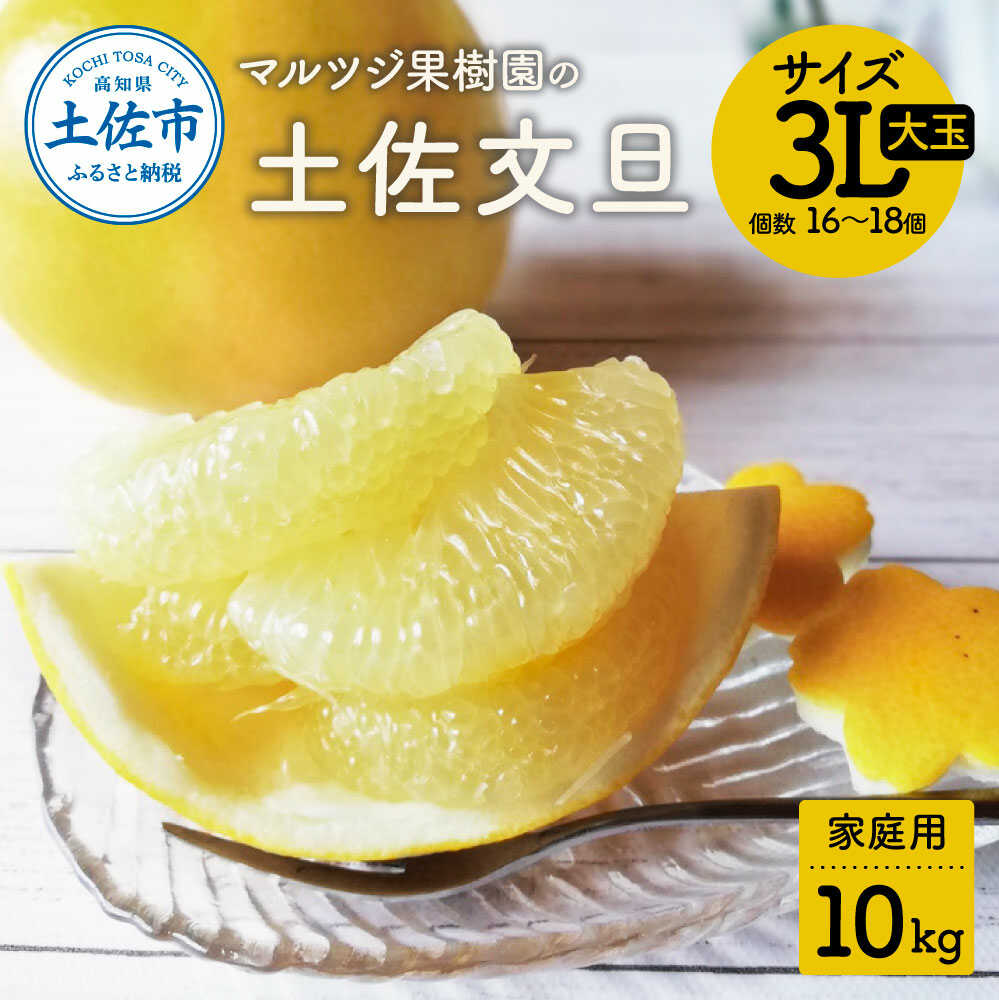 【ふるさと納税】【先行予約】土佐文旦 約10kg 家庭用 大玉 土佐文旦 高知 柑橘 フルーツ ぶんたん 果物 甘い 旬 産直 お取り寄せ 季節限定 食べやすい コンパクト 特大 訳あり 高知県土佐市/マルツジ果樹園[BQAN002]｜高知県土佐市