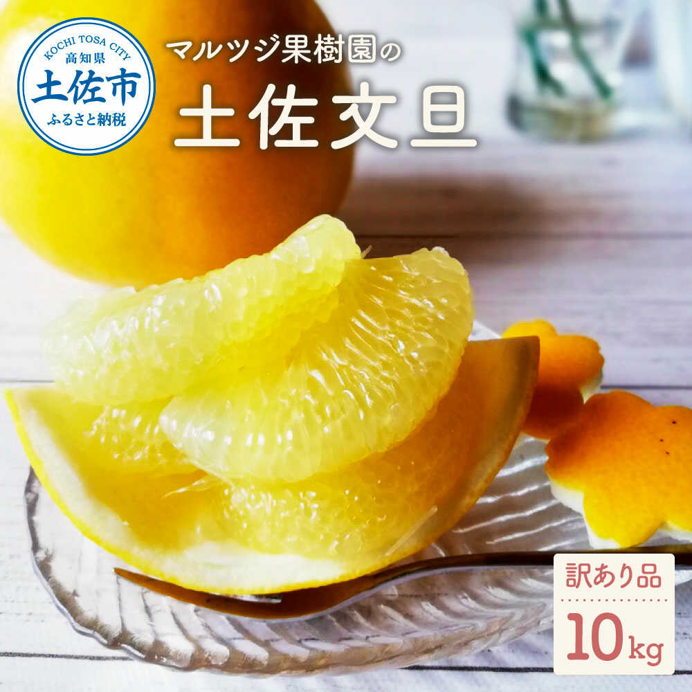 【ふるさと納税】【先行予約】【訳あり】マルツジ果樹園の土佐文旦（約10kg） 土佐文旦 高知 柑橘 フルーツ ぶんたん 果物 甘い 旬 産直 お取り寄せ 季節限定 食べやすい コンパクト 特大 訳あり 高知県土佐市/マルツジ果樹園[BQAN006]｜高知県土佐市