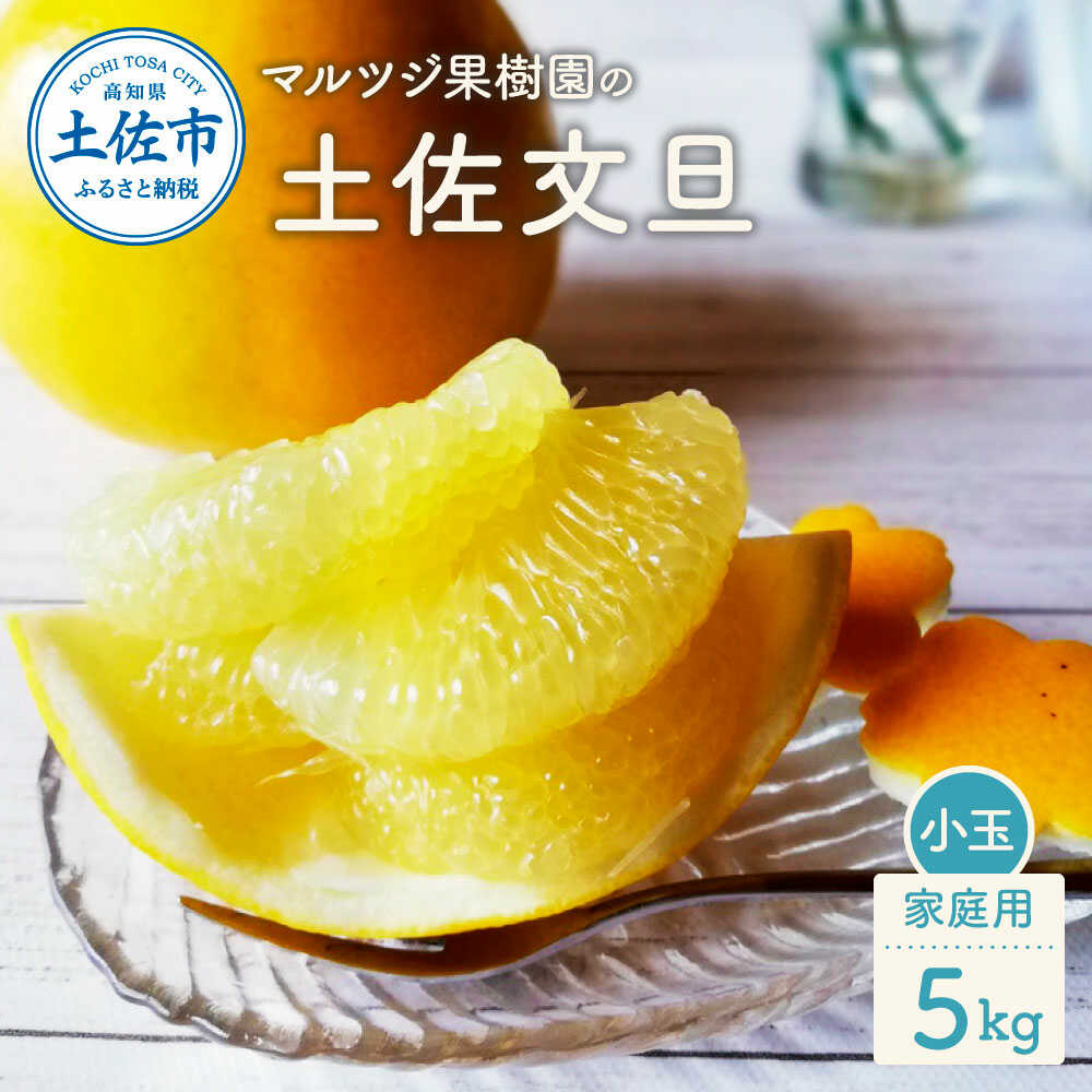 【ふるさと納税】【先行予約】マルツジ果樹園の土佐文旦 家庭用(小玉) 約5kg 5キロ M~Lサイズ 12~17個入り 土佐文旦 高知 柑橘 フルーツ ぶんたん 果物 甘い 旬 産直 お取り寄せ 高知県土佐市/マルツジ果樹園[BQAN009]｜高知県土佐市