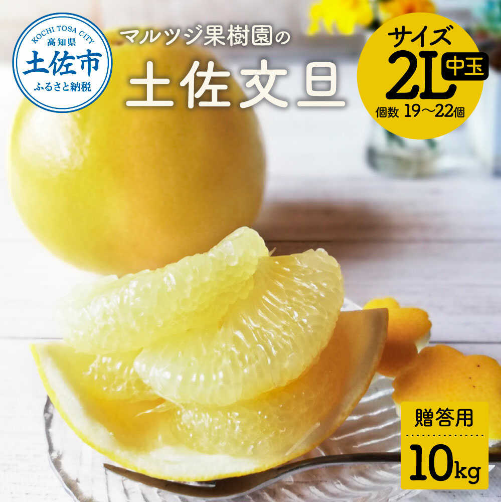 【ふるさと納税】【先行予約】マルツジ果樹園の土佐文旦 贈答用(中玉) 約10kg 10キロ 2Lサイズ 19~22個入り 土佐文旦 高知 柑橘 フルーツ ぶんたん 果物 甘い 旬 産直 お取り寄せ 高知県土佐市/マルツジ果樹園[BQAN014]｜高知県土佐市
