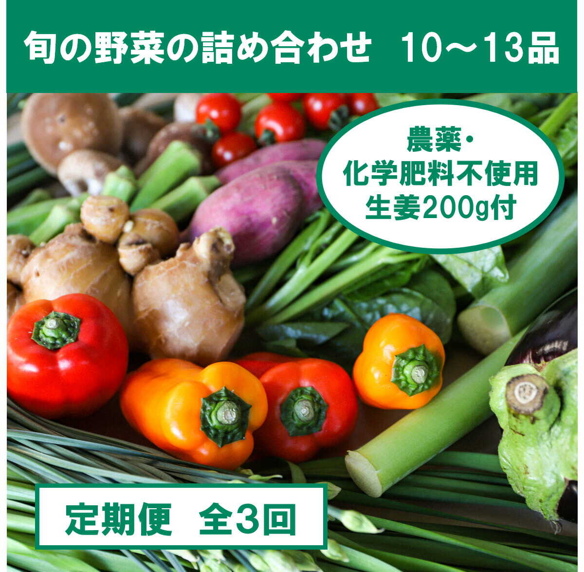 【ふるさと納税】【全3回定期便】栽培期間中に農薬不使用の生姜200gとの野菜詰め合わせ10～13品目 野菜 詰め合わせ セット トマト レタス キャベツ 文旦 生姜 高知 国産 しょうが ショウガ 薬味 高知県土佐市/株式会社SIMA[BQAZ006]｜高知県土佐市