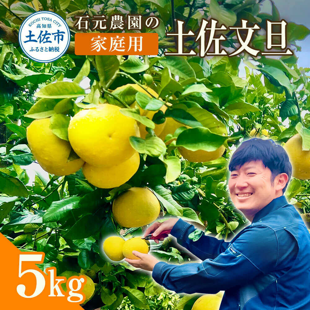 【ふるさと納税】【先行予約】石元農園の土佐文旦 家庭用 約5キロ（7～12玉） 土佐文旦 高知 柑橘 フルーツ ぶんたん 果物 甘い 旬 産直 お取り寄せ 季節限定 訳あり 家庭用 お得 自宅用 高知県土佐市/石元農園[BQBH001]｜高知県土佐市
