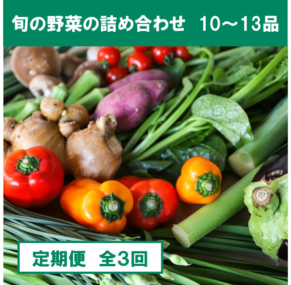 【ふるさと納税】『定期便』土佐野菜の詰め合わせ 全3回 旬の野菜 定期 生姜 野菜 健康 詰め合わせ セット 採れたて おいしい 美味しい 自然 新鮮 旬 春 野菜 おまかせ お楽しみ 故郷納税 ふるさとのうぜい 返礼品 高知県 高知 30000円