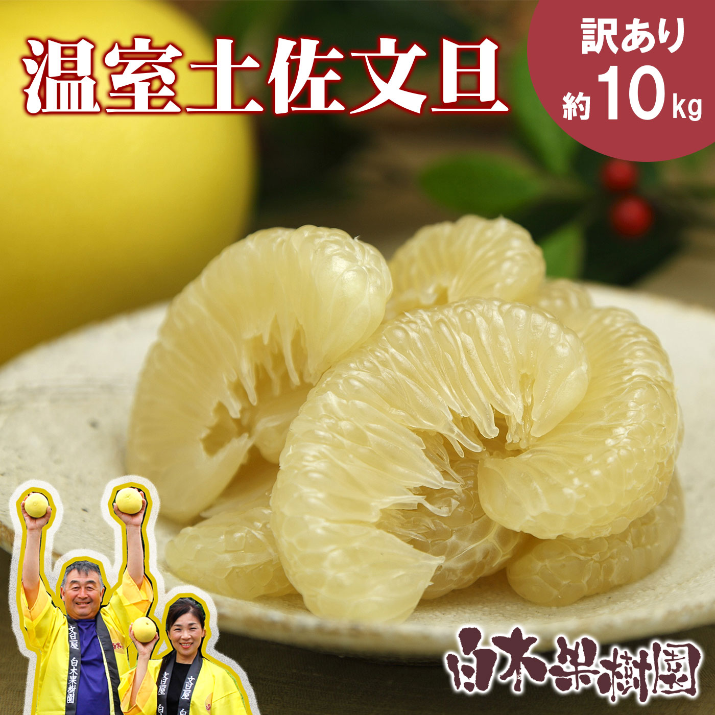 【ふるさと納税】温室土佐文旦 2~4L 約10kg 約10キロ(16~20個入り) お得箱 ブンタン ぶんたん 土佐文旦 フルーツ 果物 くだもの 柑橘 旬 訳あり わけあり ご自宅用 ご家庭用 おいしい 甘い お取り寄せ 常温 配送 高知県 土佐市 ふるさとのうぜい 故郷納税 返礼品