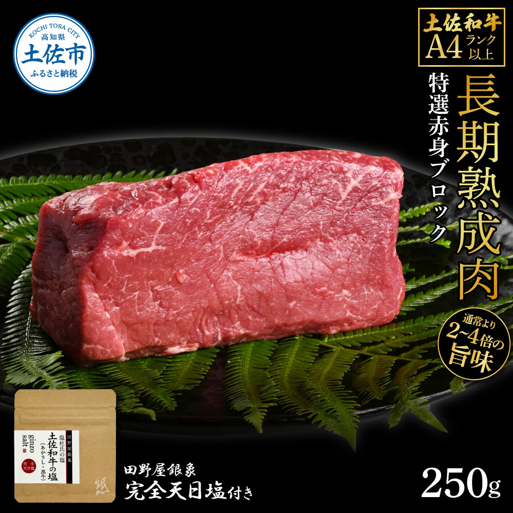 【ふるさと納税】土佐和牛 特選赤身ブロック250g 田野屋銀象完全天日塩1P付き 長期熟成肉 田野屋銀象 完全天日塩付き 赤身 牛肉 ブロック 肉 お肉 和牛 国産 牛 熟成肉 ブロック肉 豪華 贅沢 高知県 土佐市 こうち 返礼品