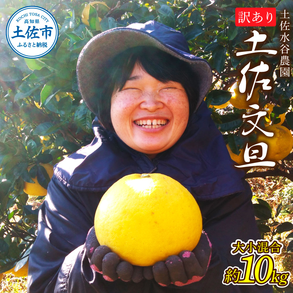 【ふるさと納税】本場、高知県土佐市産！土佐水谷農園の露地土佐文旦 家庭用10キロ 10kg 大小混合（L～上限なし：16玉前後） 訳あり 文旦 ぶんたん ブンタン 土佐文旦 家庭用 ご自宅用 柑橘 フルーツ 果物 ご当地 土佐 高知 ふるさとのうぜい 故郷納税 高知県 18000円 土佐市