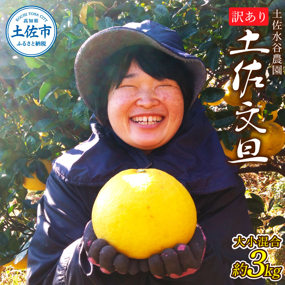 【ふるさと納税】土佐水谷農園の露地土佐文旦 家庭用約3キロ 3kg 大小混合 ぶんたん ブンタン フルーツ 柑橘 みかん 果物 くだもの 柑橘類 デザート おやつ 訳あり わけあり ご家庭用 ご自宅用 旬 食品 常温 配送 高知県 土佐市 ふるさとのうぜい 故郷納税 返礼品
