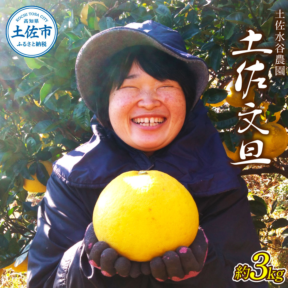 楽天市場】【ふるさと納税】本場、高知県土佐市産！土佐水谷農園の露地