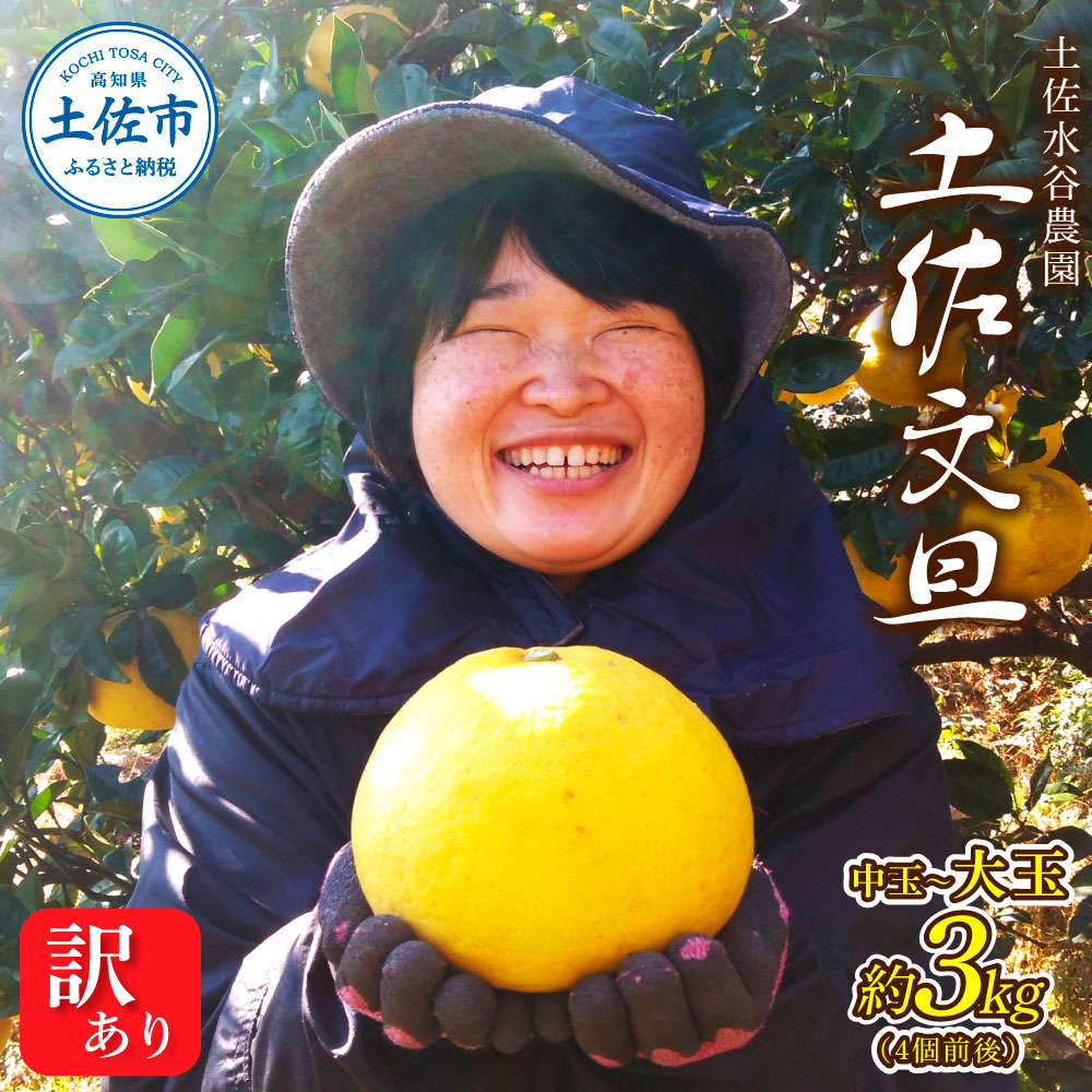 【ふるさと納税】本場高知県土佐市産 土佐水谷農園の露地土佐文旦 家庭用3キロ 3kg 中玉~大玉（3L～上限なし：4玉前後）皮むき器付き 訳あり 文旦 ぶんたん ブンタン 土佐文旦 家庭用 ご自宅用 柑橘 フルーツ 果物 高知 ふるさとのうぜい 故郷納税 高知県 10000円 土佐市