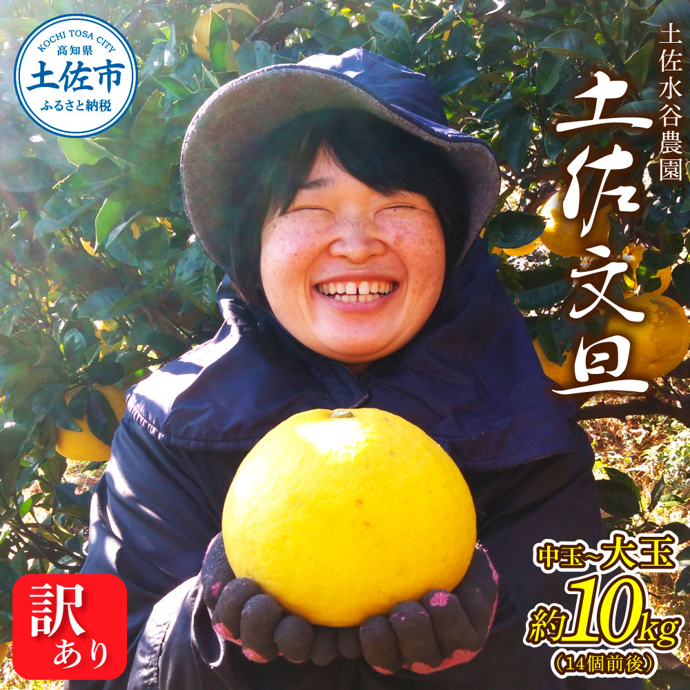 【ふるさと納税】本場高知県土佐市産 土佐水谷農園の露地土佐文旦 家庭用10キロ 10kg 中玉~大玉（3L～上限なし：14玉前後）皮むき器付き 訳あり 文旦 ぶんたん ブンタン 土佐文旦 家庭用 ご自宅用 柑橘 フルーツ 果物 高知 ふるさとのうぜい 故郷納税 高知県 32000円 土佐市