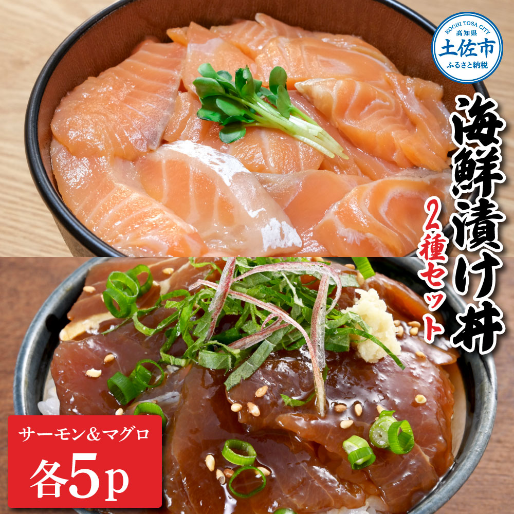 【ふるさと納税】土佐の海鮮漬け丼（サーモン・まぐろ）各5袋 1パック60g 海鮮丼 鮪 まぐろ 漬け マグロ丼 サーモン丼 おつまみ 魚 魚介類 海鮮 真空パック 簡単 土佐市 高知県 土佐市 こうち 返礼品