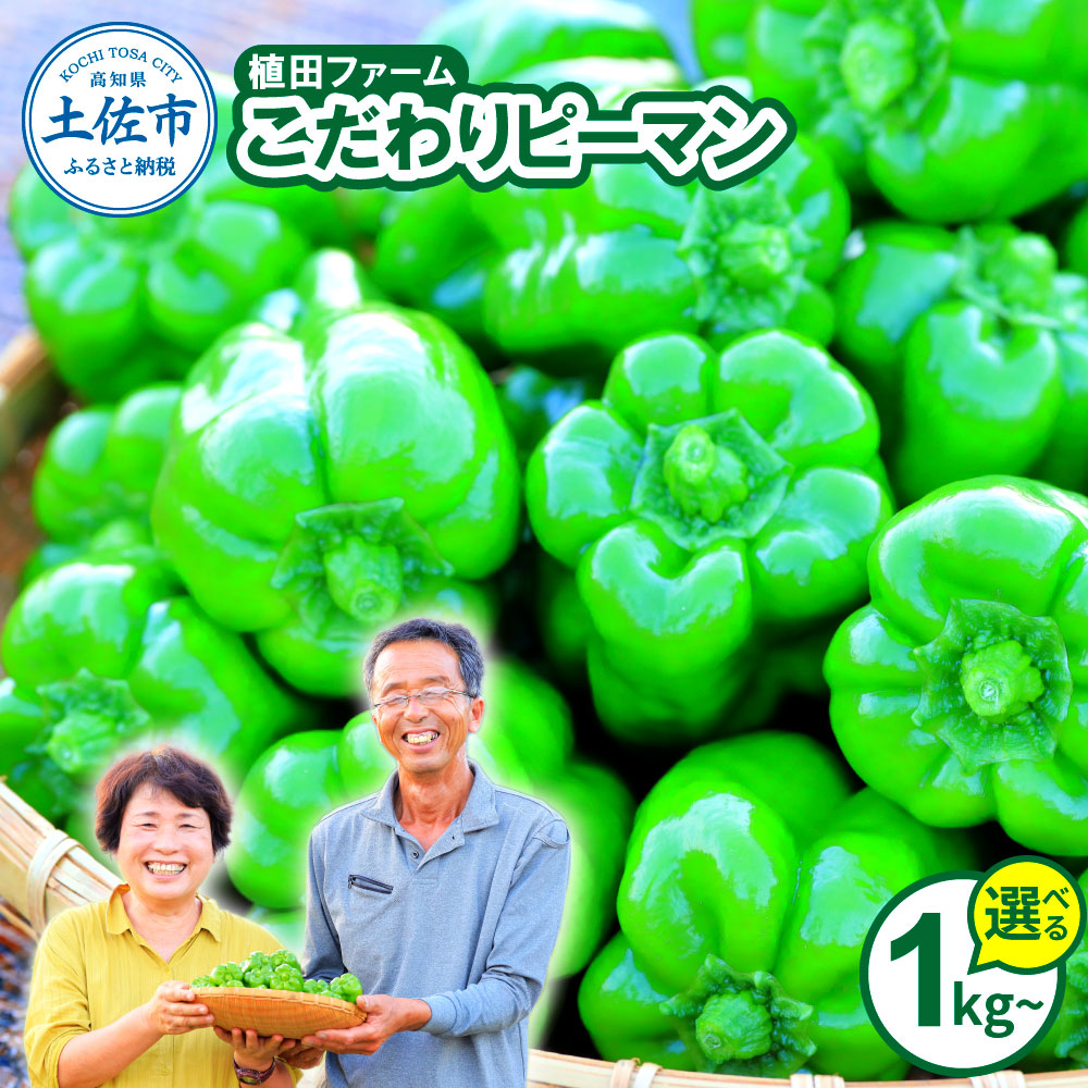 【ふるさと納税】高知県産 植田ファームのこだわりピーマン 1kg 2kg 3kg ピーマン 新鮮野菜 サラダ 野菜 おかず 詰め合わせ 絶品 お取り寄せ 美味しい 料理 おうちごはん 新鮮 ピーマン肉詰め 野菜 台木 苗 大容量 消費 国産 日本産 ふるさと納税 高知県 高知 5000円～