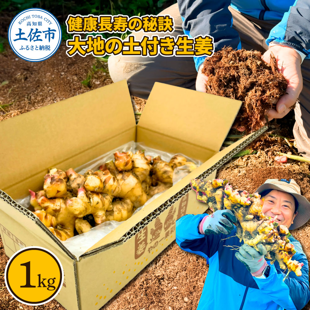 【ふるさと納税】健康長寿の秘訣 大地の土付き生姜1kg 国産 生ショウガ しょうが ショウガ ジンジャー ジンジャーエール ショウガシロップ 生姜焼き 薬味 野菜 料理 健康 生姜湯 新鮮 高知県 土佐市 ふるさとのうぜい 故郷納税 返礼品