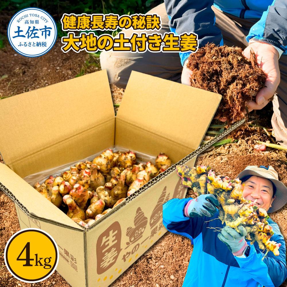 【ふるさと納税】健康長寿の秘訣 大地の土付き生姜4kg 国産 生ショウガ しょうが ショウガ ジンジャー ジンジャーエール ショウガシロップ 生姜焼き 薬味 野菜 料理 健康 生姜湯 新鮮 高知県 土佐市 返礼品 ランキンング 高知県 土佐市 こうち 返礼品