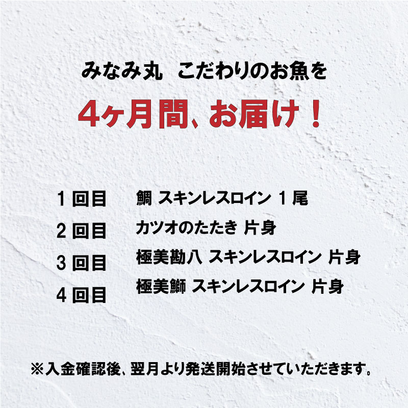 お礼や感謝伝えるプチギフト 定期便 4回 こだわり 海鮮 鯛 たい かつお かつおのたたき 勘八 かんぱち 鰤 ぶり 食べ比べ たたき 刺身 産地直送  魚介 須崎市 fucoa.cl