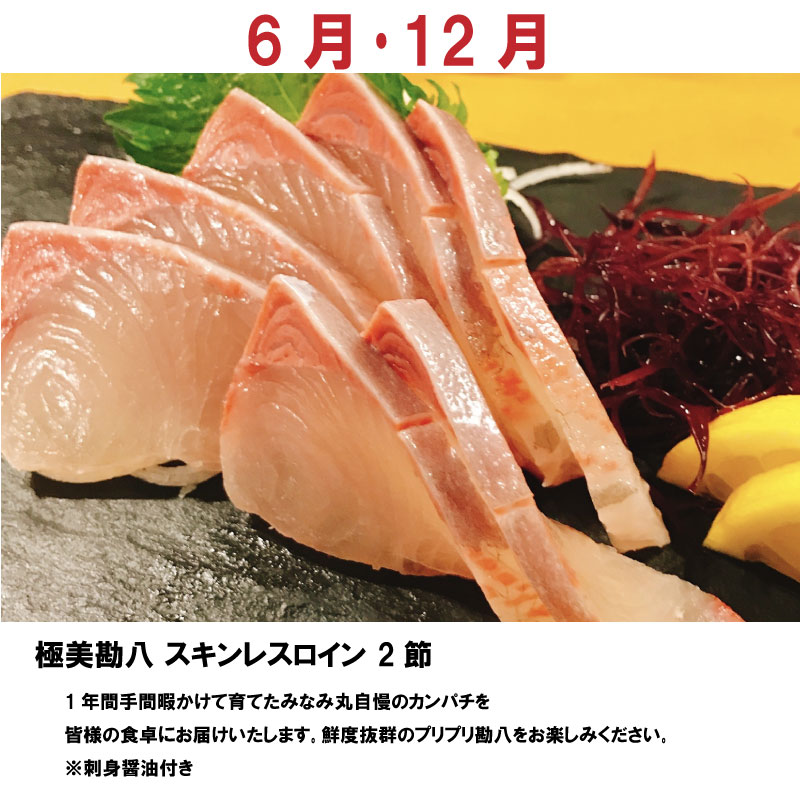 春新作の 定期便 12回 こだわり 漬け丼 海鮮 鯛 たい かつお かつおのたたき 勘八 かんぱち 鰤 ぶり 食べ比べ たたき 刺身 産地直送 魚介  須崎市 fucoa.cl