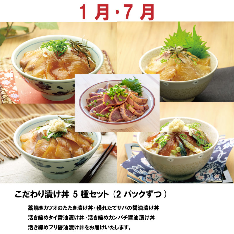 国内発送 定期便 6回 こだわり 漬け丼 海鮮 鯛 たい かつお かつおのたたき 勘八 かんぱち 鰤 ぶり 食べ比べ たたき 刺身 産地直送 魚介  須崎市 fucoa.cl