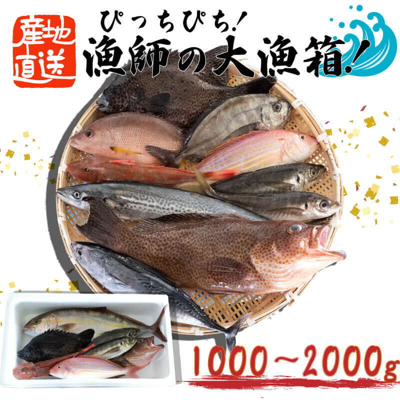 楽天市場】【ふるさと納税】 魚 鮮魚 ボックス 4kg～5kg 旬 鮮度 抜群 おまかせ 詰め合わせ 海鮮 魚介 新鮮 高知県 須崎市 MT005 :  高知県須崎市