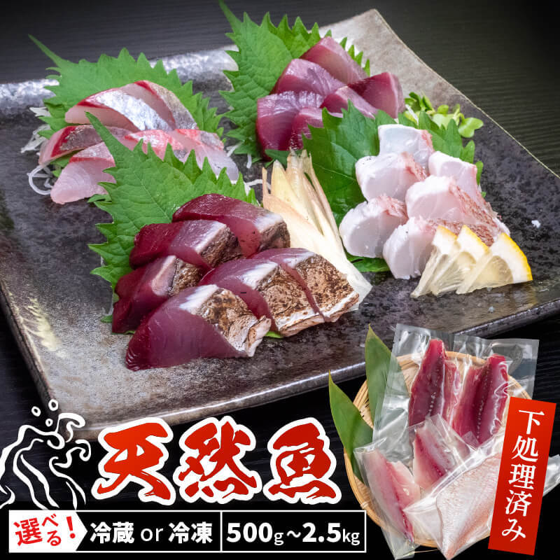 【ふるさと納税】 お刺身用 天然 鮮魚 フィーレ 加工済み 詰め合わせ 朝獲れ 直送 下処理済み 選べるサイズ 500g～2.5kg 冷蔵 冷凍 天然魚 海鮮 魚介 産地直送 鮮魚ボックス さかな 漁師 ふるさと納税刺身 ふるさと納税鮮魚 ふるさと納税海鮮 鮮魚セット