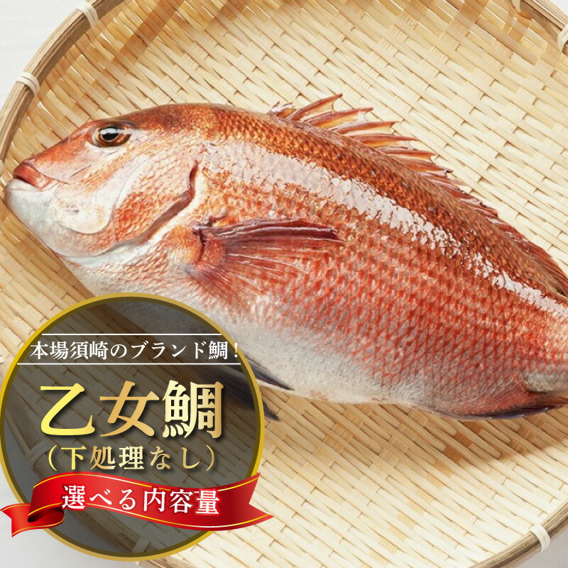 楽天市場】【ふるさと納税】 カンパチ 2節 セット 高級 魚 極美