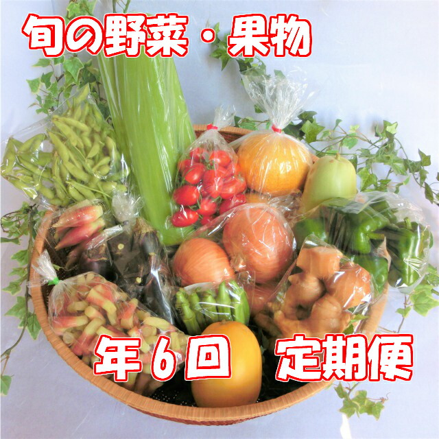 美品】 隔週お届け 旬の朝採れ土佐野菜詰め合わせ 10〜13品目 fucoa.cl