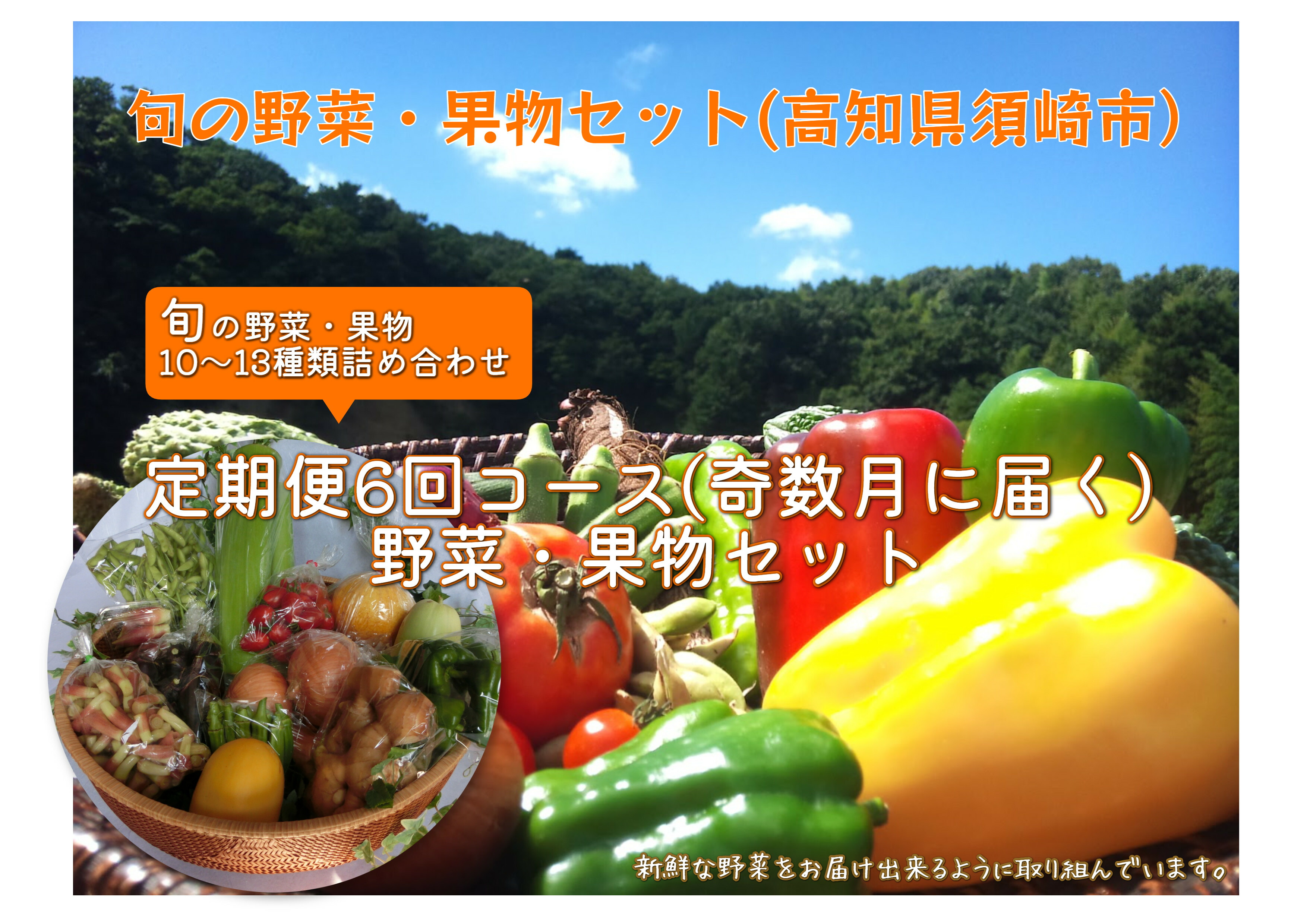 定期便 野菜 年6回コース 朝採れ新鮮 旬の 野菜 果物 セット 高知県 須崎市 惣菜 | kuhni-euro.ru