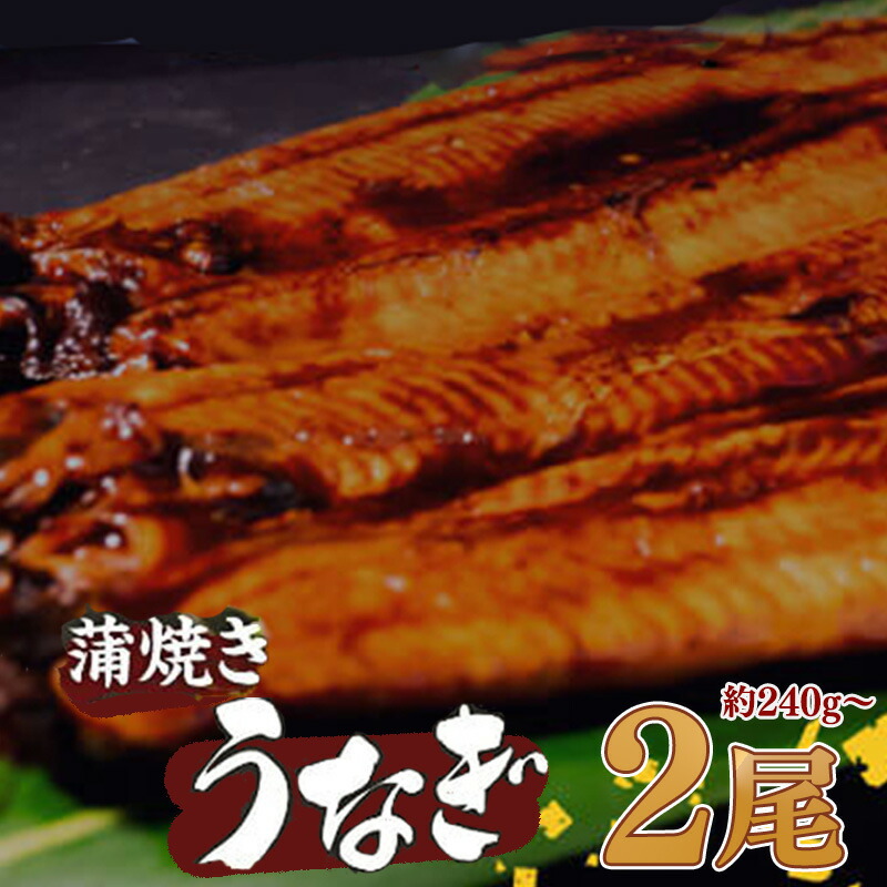 【ふるさと納税】 有頭 うなぎ 蒲焼 2尾 240g以上（ 120g～140g × 2尾 ） | 尾頭付き 土用の丑の日 蒲焼 鰻 ひつまぶし うな丼 うな重 お歳暮 ギフト 冷凍 養殖 ふるさと納税うなぎ 高知県 須崎市 秘伝タレ付き 真空パック 惣菜 人気 ランキング おすすめ ME065_x
