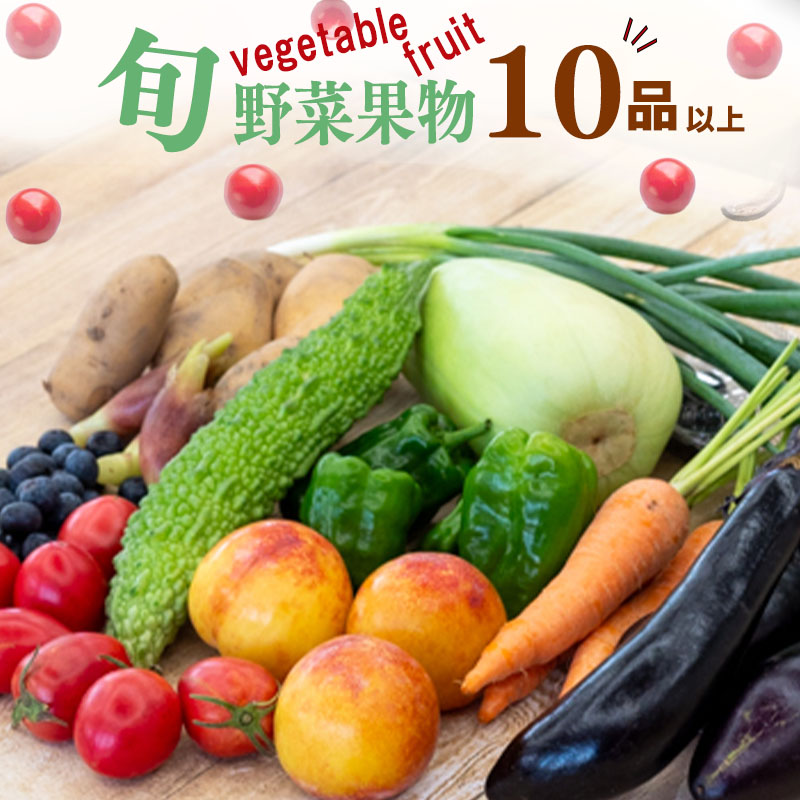 【ふるさと納税】 野菜 ･ 果物 10 ～ 13 種類 セット | お楽しみ やさい フルーツ セット 旬 採れたて 新鮮 農家直送 詰め合わせ 国産 季節 果物 フルーツ ぶどう いちご スイカ きゅうり ピーマン なす トマト 大根 白菜 高知県 須崎市 ふるさと納税野菜 ME001_x