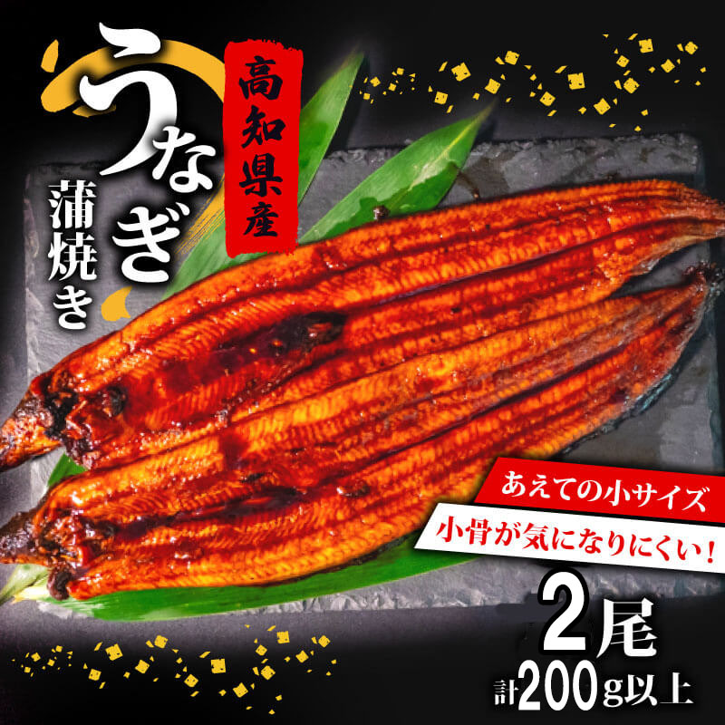 【ふるさと納税】 国産 高級 うなぎ 蒲焼 100g～120g 計 2尾 セット タレ付き 贈答 養殖 肉厚 鰻 土用丑の日 敬老の日 高知県 須崎市 ふるさと納税うなぎ