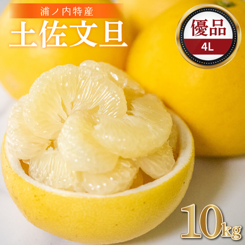 楽天市場】【ふるさと納税】 【 2月 中旬 から 発送 】 文旦
