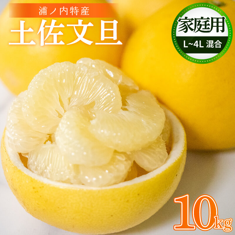 文旦　訳あり　アウトレット品　柑橘　40 楽天市場】【ふるさと納税】 早期予約受付開始 文旦 あわ地区 秀