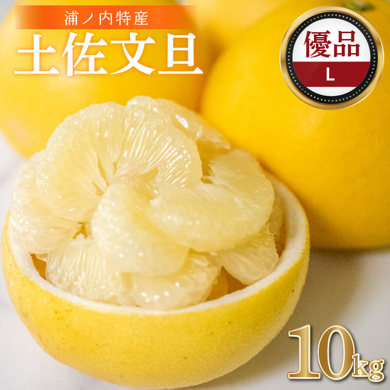 土佐文旦　10kg 88 文旦 土佐文旦 糖度12度 高知県産 減農薬 約10kg 家庭用 訳あり